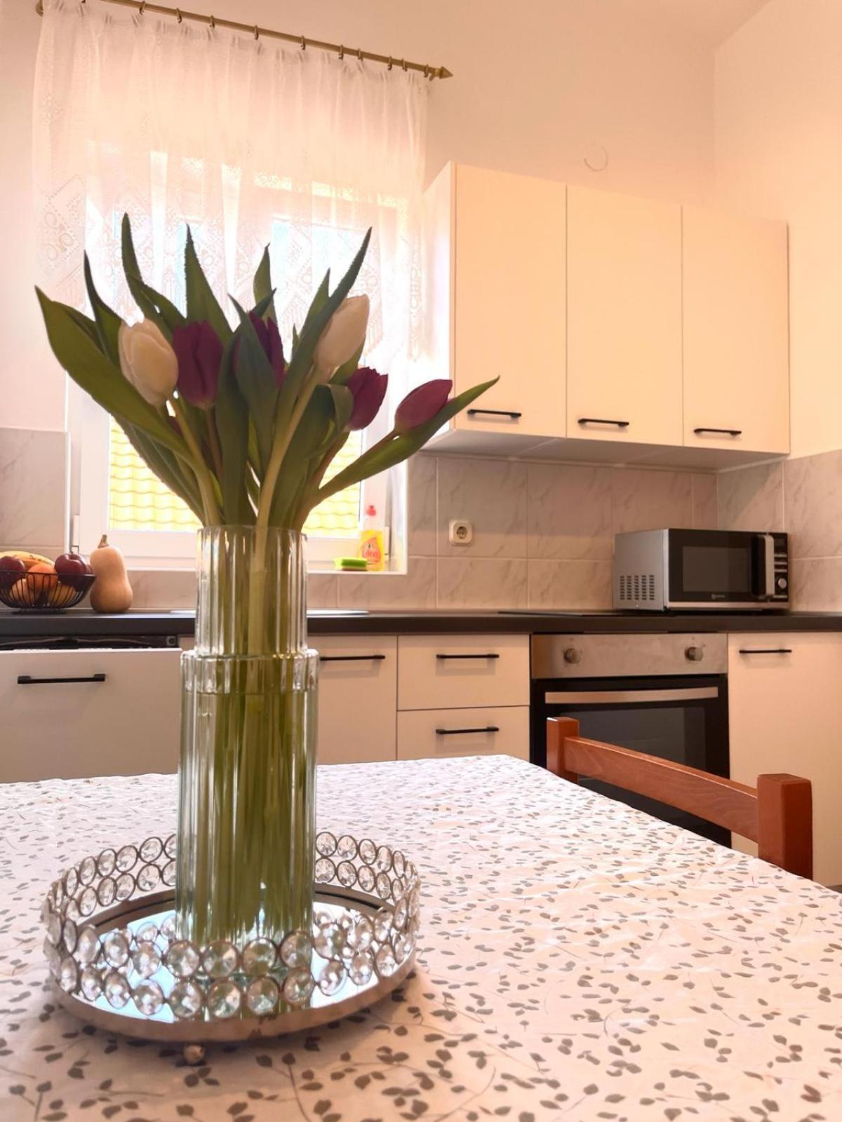 Family Holiday Apartments Lucia Vodice Exteriér fotografie